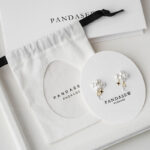 Custom Clear Canvas Pouch – Unique Jewelry Storage Bag - Image 7